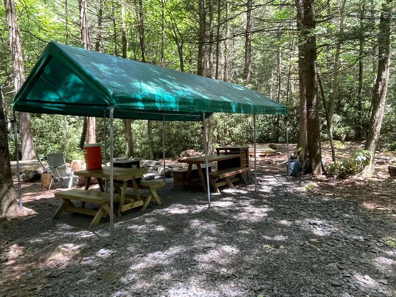 Green dining canopy over picnic tables in the forest