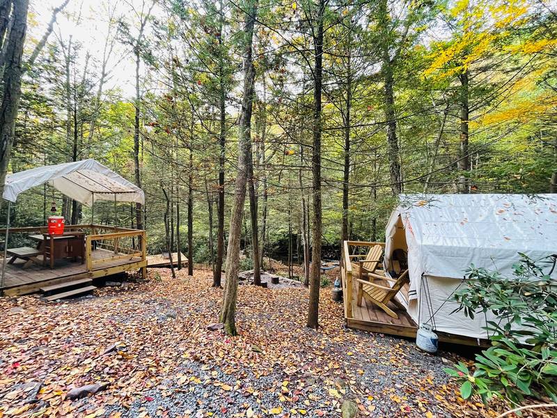 Covered dining canopy and a safari tent on a platform in the woods